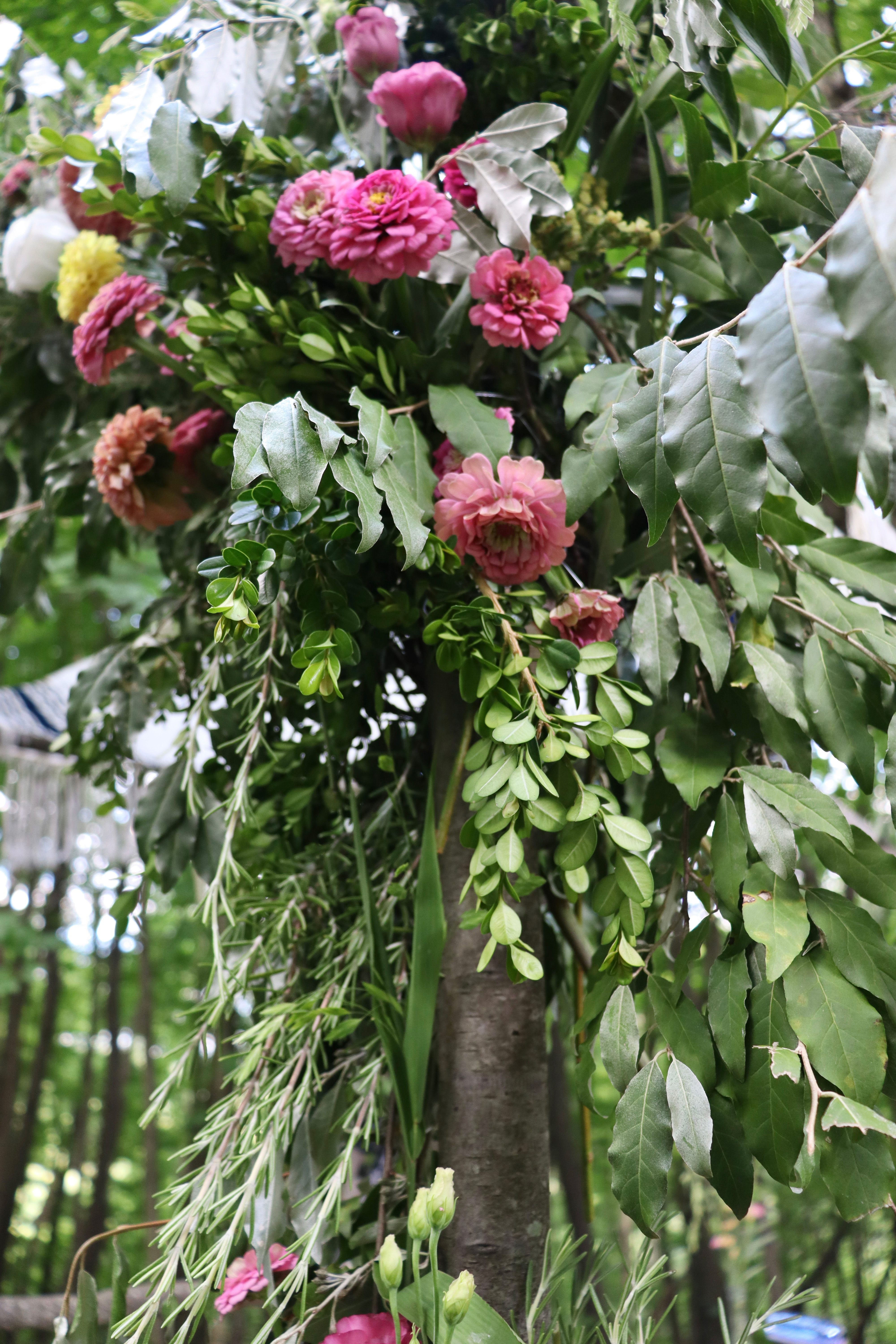 Florist Finds - Farmer's Daughter