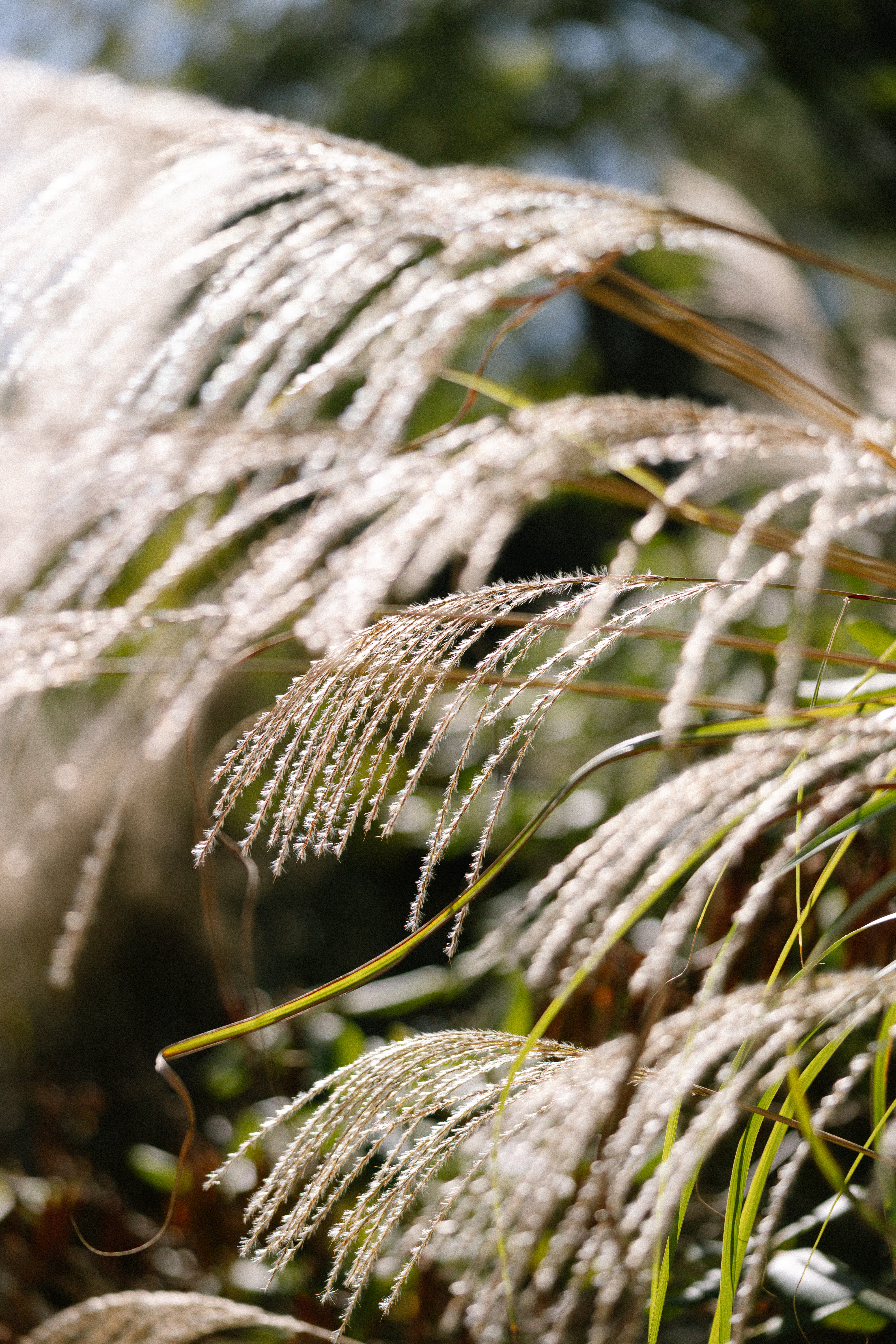 Kayla Rae Photography