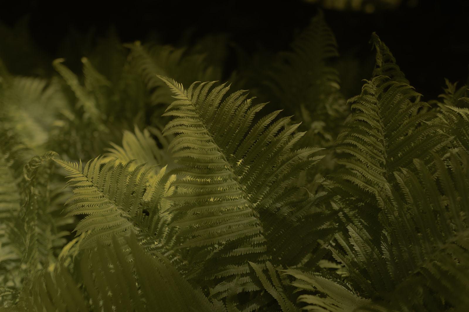 Hannah Rob Photography